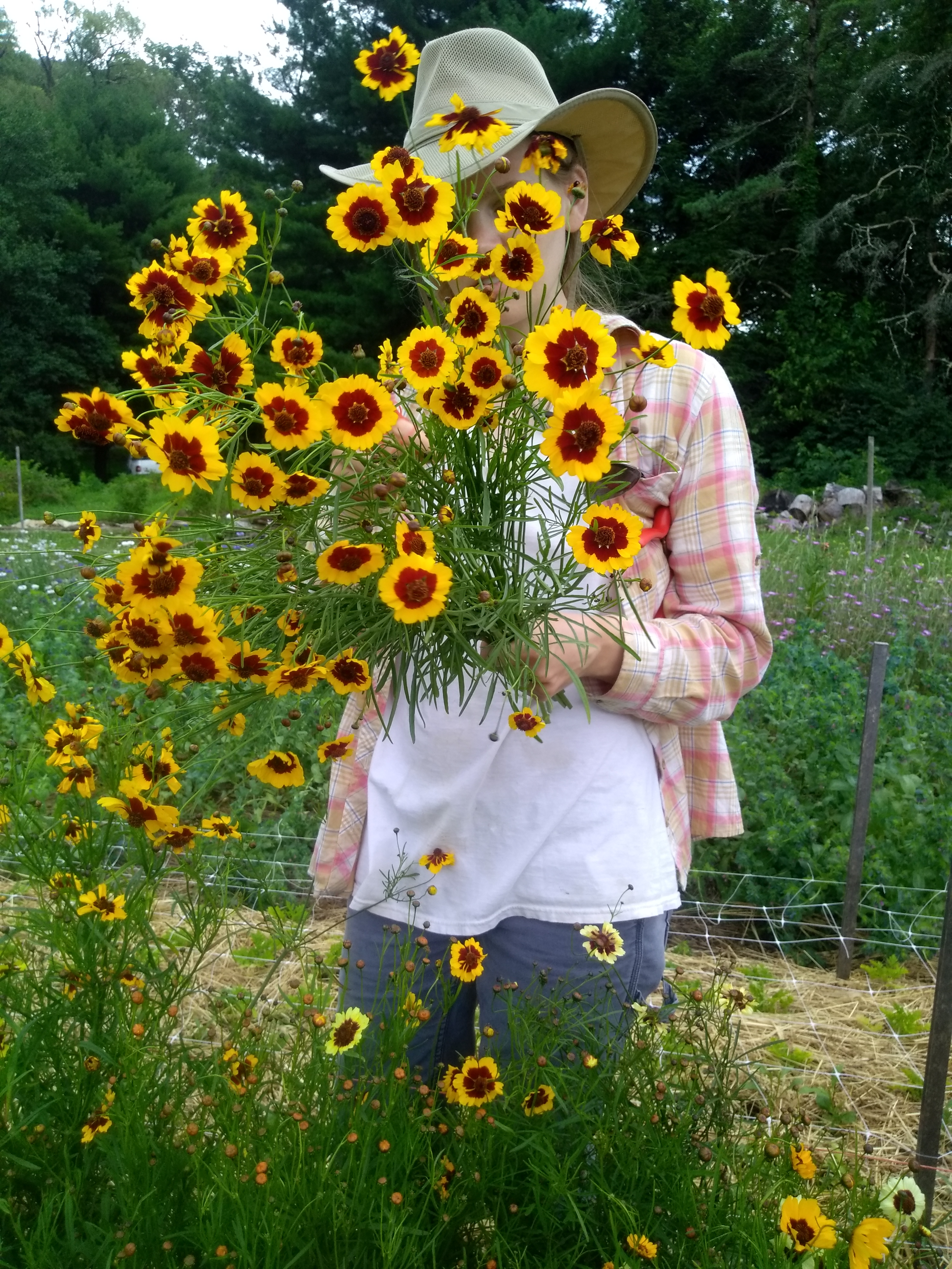 IMG_20190711_140208631